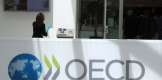 Le grand chantier de l’OCDE : la taxe sur les multinationales
