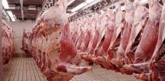 Hausse du prix de la viande de bœuf et de Mouton : Le kilo passe de 3500 à 5000f