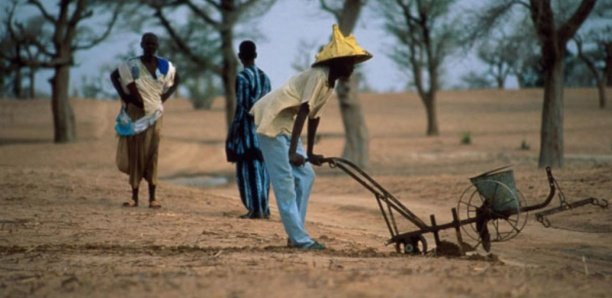 Zoom sur l'agriculture (2/2) : Comment le secteur agricole peut vaincre le chômage et doper la croissance