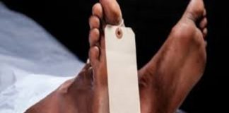 Commune de Dialambere - Arrestation d’un chef de village : Un exploitant forestier battu à mort