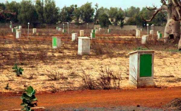 Matam Spoliation foncière et phosphate de Thilogne : Le Collectif pour la défense des intérêts du Bossea alerte Macky