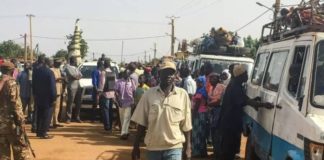 Diouloulou: La Gendarmerie arrête deux trafiquants avec 273 Kg de Yamba et...