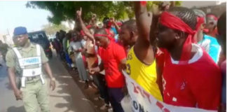 Thiès: L'APR "authentique" attend Macky Sall avec des brassards rouges et descend le Rewmi