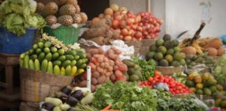 Kaolack/ Commercialisation des produits agricoles: Une nécessité de redynamiser le cadre national, évoquée