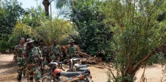 Casamance: "Les bandes armées veulent l'exclusivité de l'exploitation des ressources forestières