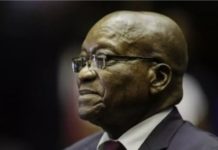 Afrique du Sud: Jacob Zuma condamné à 15 mois de prison pour outrage à la justice