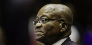 Afrique du Sud: Jacob Zuma condamné à 15 mois de prison pour outrage à la justice