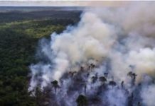 Brésil: démission de Ricardo Salles, le polémique ministre de l'Environnement