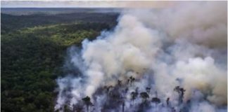 Brésil: démission de Ricardo Salles, le polémique ministre de l'Environnement
