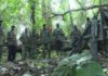 Casamance : Le MFDC réclame un cessez-le-feu