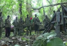 Casamance : Le MFDC réclame un cessez-le-feu