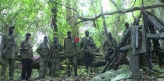 Casamance : Le MFDC réclame un cessez-le-feu