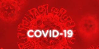 Surveillance de la Covid-19: Les variants les plus présents au Sénégal, selon l’Institut Pasteur de Dakar