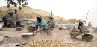 Filière arachidière: 2,056 MILLIARDS F CFA volés à des opérateurs qui pensaient spéculer sur...