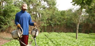 Agriculture: Le SYNTTAS annonce une grève de 10 jours