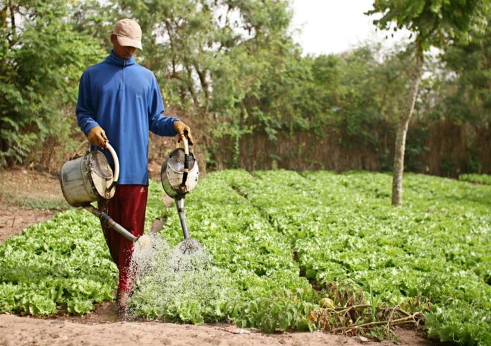 Agriculture: Le SYNTTAS annonce une grève de 10 jours