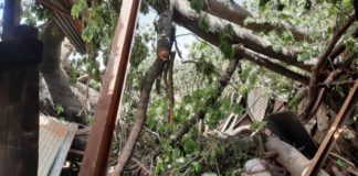 Gambie: 10 morts dans une tempête, un millier de sans abri à travers le pays