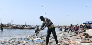 Hann-Gestion des déchets solides sur la plage : Une brigade de la propreté créée