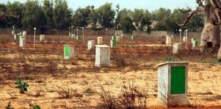 Village de Ndiodione Diagne: Les populations protestent contre les 40 hectares remis à un promoteur privé