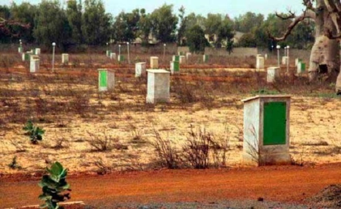 Village de Ndiodione Diagne: Les populations protestent contre les 40 hectares remis à un promoteur privé