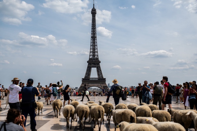 Tabaski 2021: La ville de Paris transformée en 