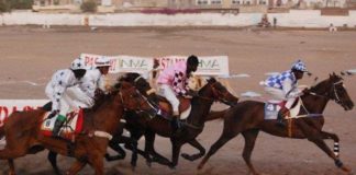 Sport: Le monde hippique endeuillé par la disparition d’Ibrahima Bao
