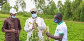 Campagne de production agricole 2021: Macky Sall exige une accélération de la distribution des engrais et...