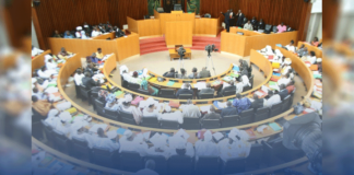 Heurts, disputes et rixes à l’hémicycle: Des députés prennent leur bâton pèlerin