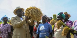 Macky Sall sur l’autosuffisance alimentaire : «Nous avons les moyens d’atteindre cet objectif»