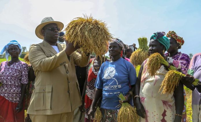 Macky Sall sur l’autosuffisance alimentaire : «Nous avons les moyens d’atteindre cet objectif»