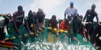 Accord de pêche Sénégal-Mauritanie: Les pêcheurs sénégalais pourront désormais pêcher dans les eaux mauritaniennes