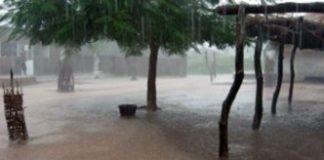 Météo: Des activités pluvio-orageuses prévues sur la Casamance et le Sine-Saloum