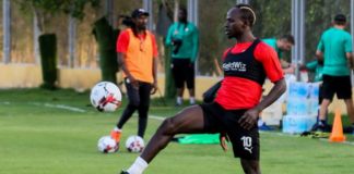 La liste des Lions dévoilée le 27 août