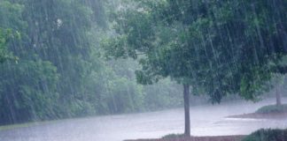 Météo: La quasi-totalité du pays sous la pluie et les orages