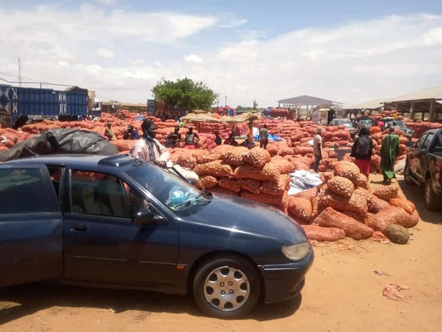 Les paysans de la zone des Niayes dans le désarroi: Le cri du cœur d’un citoyen à l’endroit du Président Macky Sall