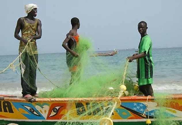 Licences de Pêche, Rareté du Poisson, Brèche de Saint;Louis...Les pêcheurs artisanaux râlent