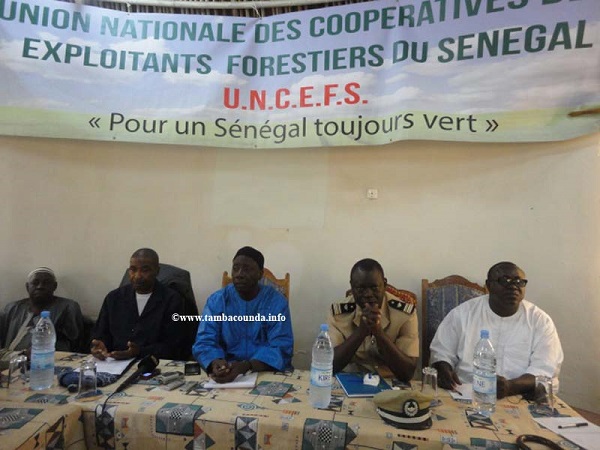 Tambacounda: Colère noire des exploitants forestiers contre le gouverneur