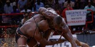 Réouverture de la saison de lutte le 1er octobre : Le Cng exige le pass sanitaire à tout le monde