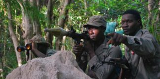 Accrochage avec le MFDC en Gambie: Les Jambaars dans un guet-apens, une opération rebelle bien planifiée