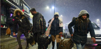 Frontière Ukraine-Pologne : "Ils nous refoulent juste parce qu'on est Noirs !"