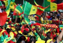 Les supporters confiants mais redoutent la roublardise des pharaons