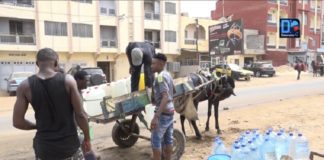 Notto-Diosmone-Palmarin et Gorom-Lampsar : les populations crient « eau de secours ! »