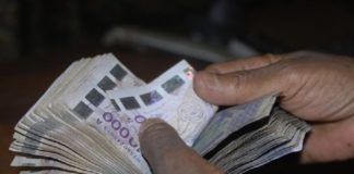 Un « Modou Modou » escroqué de plus de deux millions pour des affaires de visa.