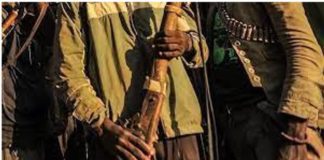 Cameroun : Libération du Sénégalais kidnappé dans le Nord du pays