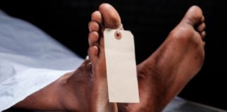 Saint-Louis : Les 2 fils du sexagénaire qui s'était donné la mort, condamnés avec sursis