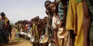 La Covid-19 a accentué la malnutrition en Afrique (PAM)