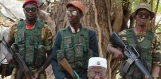 Opération militaire en Casamance : L’appel d’Alioune Tine à Salif Sadio