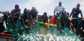 Le Sénégal accueille la 10e édition du Forum régional côtier et marin en Afrique l’Ouest.