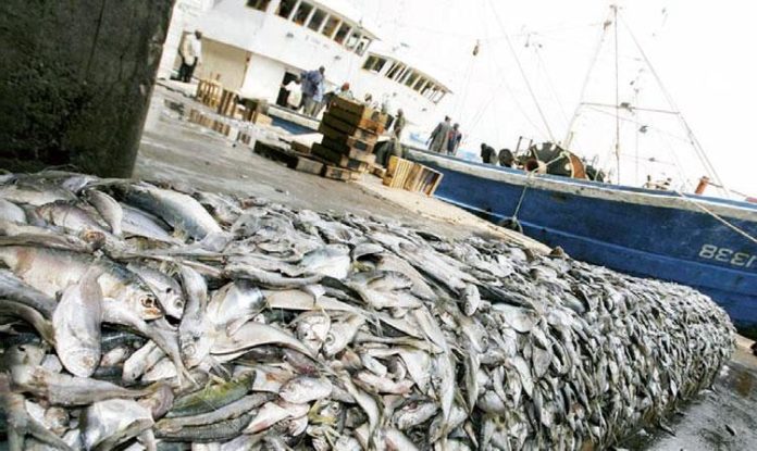 254.770 tonnes de déchets en mer par an, farine de poissons en quantité, surexploitation… Les eaux marines sénégalaises, en sursis