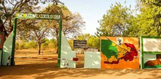 L’adjoint du chef du parc Niokolo Koba arrêté